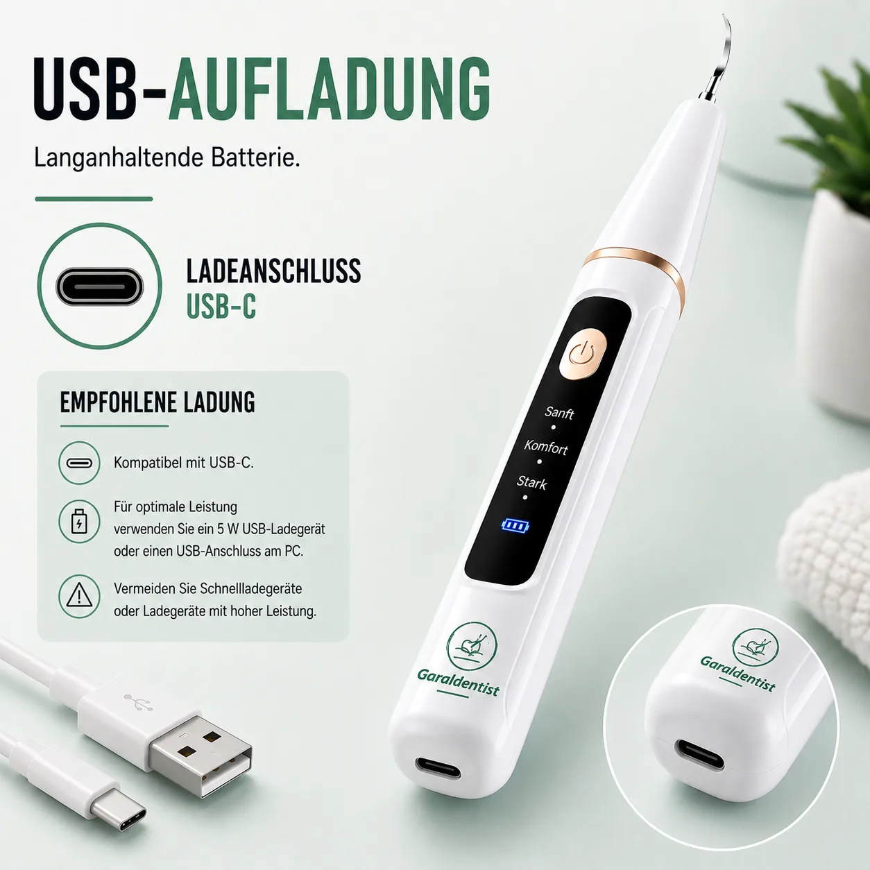 Limpiador dental Garaldentist con accesorios