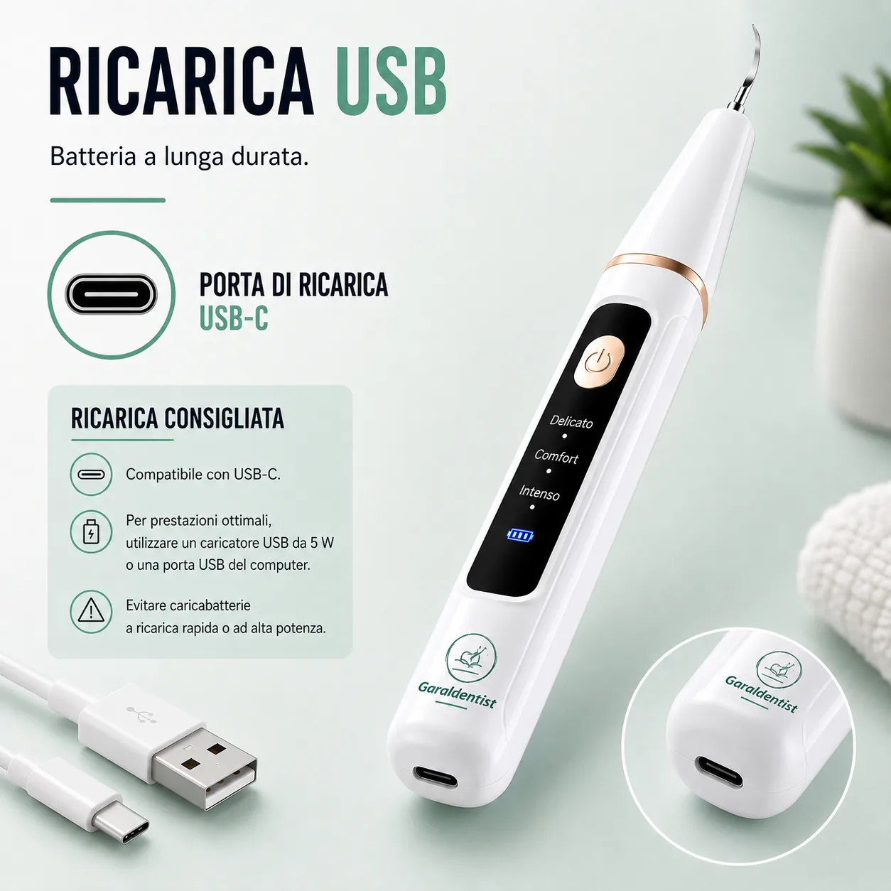 Limpiador dental Garaldentist con accesorios
