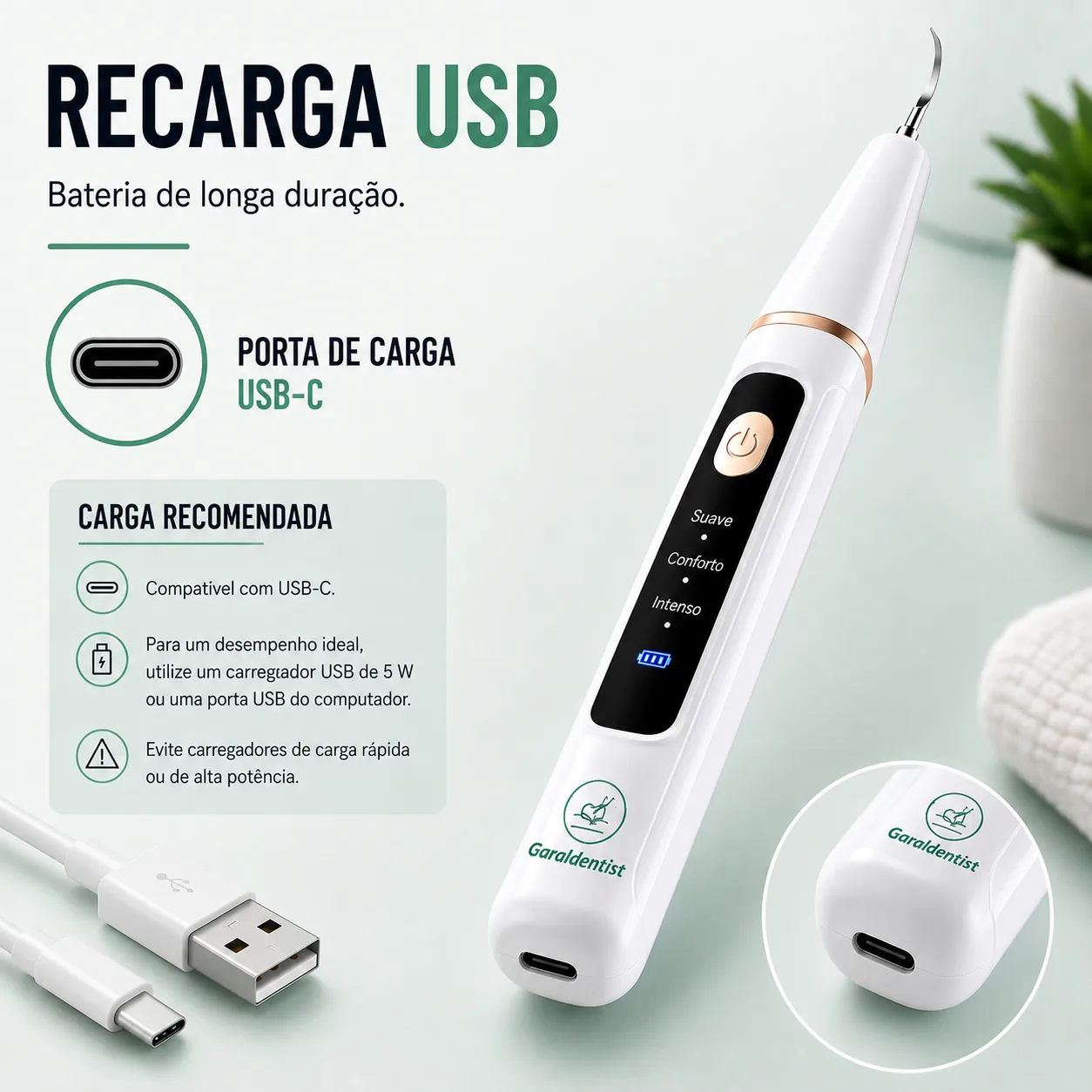 Limpiador dental Garaldentist con accesorios